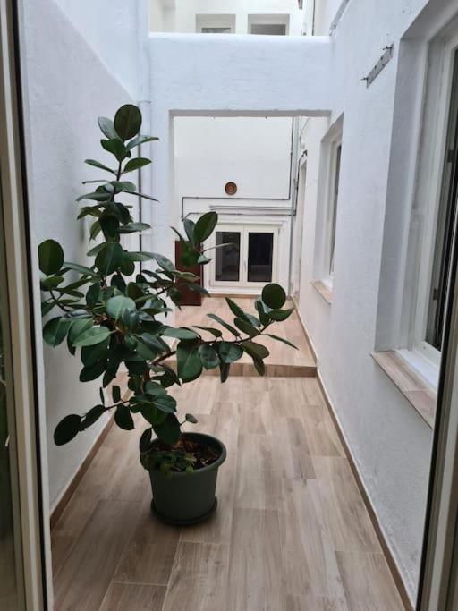 Apartamento Centrico Pontevedra Apartment ภายนอก รูปภาพ